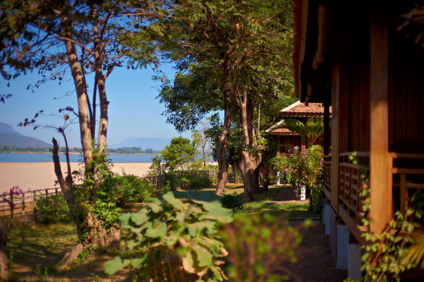 Don Daeng Island rice paddies and red dirt paths