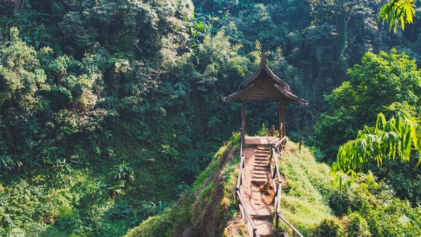 Bolaven Plateau Coffee & Waterfall Trek