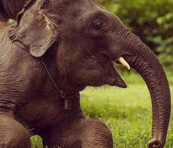 641651669_18560661169001790_1579908260859173401_n