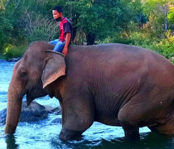 648731628_18356694025229858_7814546190242225743_n