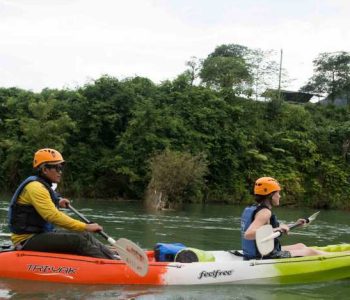 WhatsApp Image 2026-03-21 at 12.20.02 (1)