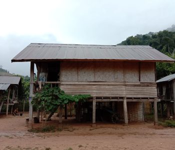 Wild Thrill Trails (1)