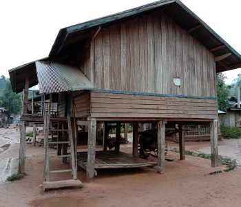 Wild Thrill Trails (2)