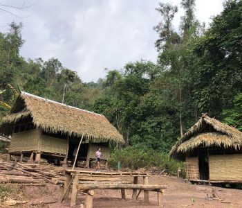 Wild Thrill Trails (3)