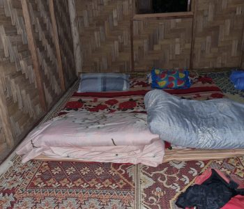 Wild Thrill Trails (6)