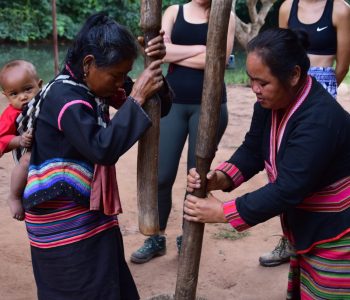 Wild Thrill Trails (7)